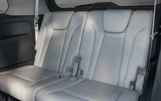 GAC GS8 2.00 автоматическая, фото №6